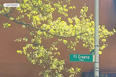 62 Fort Greene Place, New York City, NY 11217 - Photo 32