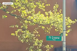 62 Fort Greene Pl, New York City, NY 11217 - Photo 32