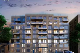 264 Webster Ave, New York City, NY 11230 - Photo 10