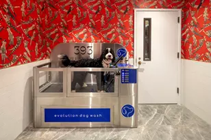 393 West End Ave, New York City, NY 10024 - Photo 12