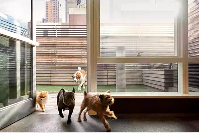 460 W 42nd Street #PH-1C, New York City, NY 10036 - Photo 22