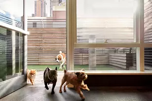 460 W 42nd St, New York City, NY 10036 - Photo 22