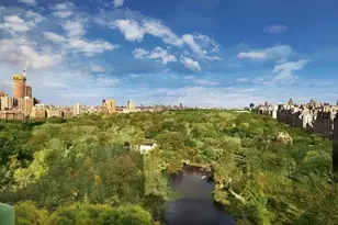 1 Central Park S, New York City, NY 10019 - Photo 50