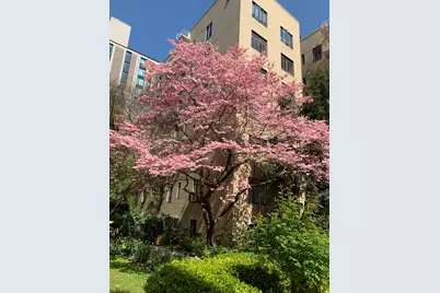 250 W 24th Street #1CW, New York City, NY 10011 - Photo 10