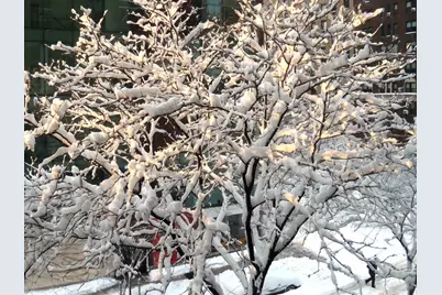 1065 Park Avenue #3B, New York City, NY 10128 - Photo 10