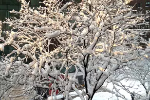 1065 Park Ave, New York City, NY 10128 - Photo 10