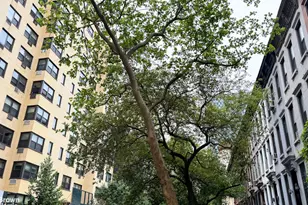 315 E 69th St, New York City, NY 10021 - Photo 16