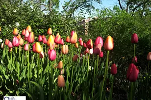 98 Park Terrace E, New York City, NY 10034 - Photo 10