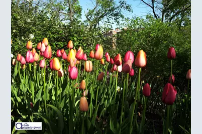 98 Park Terrace E #4E, New York City, NY 10034 - Photo 4