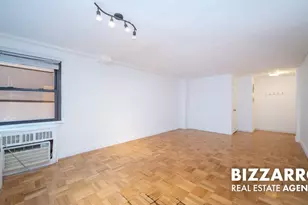 233 E 69th St, New York City, NY 10021 - Photo 4