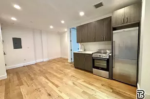 236 N 11th St, New York City, NY 11211 - Photo 4