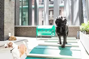 15 William St, New York City, NY 10004 - Photo 6