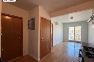 342 53rd St, New York City, NY 11220 - Photo 2