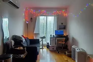 342 53rd St, New York City, NY 11220 - Photo 6