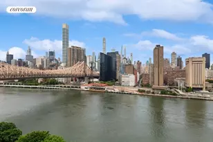 425 Main St, New York City, NY 10044 - Photo 14