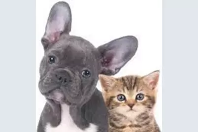 20 West Street #14-B, New York City, NY 10004 - Photo 24