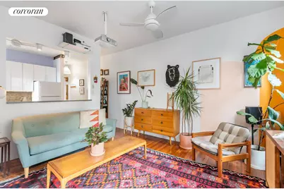 251 Pacific Street #17, New York City, NY 11201 - Photo 2