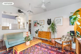 251 Pacific St, New York City, NY 11201 - Photo 2