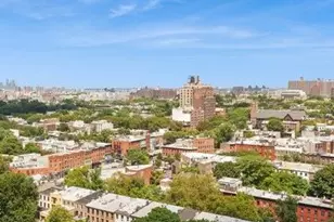 1 Hanson Pl, New York City, NY 11243 - Photo 14