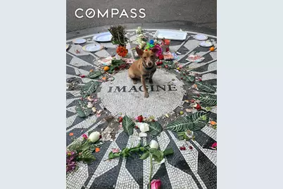 140 W 69th Street #36A, New York City, NY 10023 - Photo 16