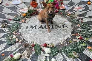 140 W 69th St, New York City, NY 10023 - Photo 16