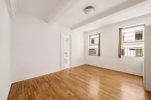 333 E 43rd St, New York City, NY 10017 - Photo 6