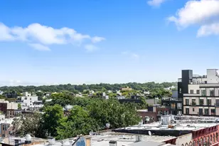 1546 Broadway, New York City, NY 11221 - Photo 12