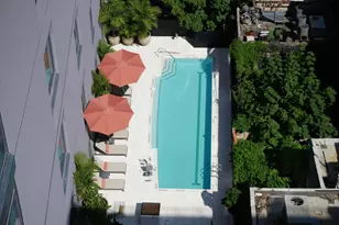 12 Halsey St, New York City, NY 11216 - Photo 4