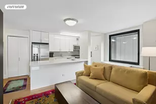 531 Main St, New York, NY 10044 - Photo 2