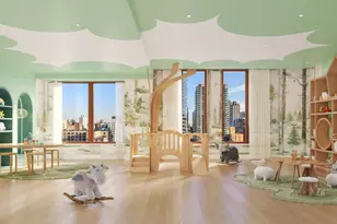 201 E 74th St, New York City, NY 10021 - Photo 14