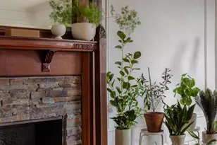 926 St Marks Ave, New York City, NY 11213 - Photo 20