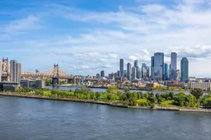 450 E 52nd St, New York City, NY 10022 - Photo 28