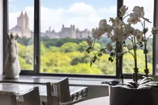 110 Central Park S, New York City, NY 10019 - Photo 20