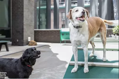 15 William Street #27A, New York City, NY 10004 - Photo 20