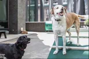 15 William St, New York City, NY 10004 - Photo 20