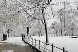 98 Park Terrace E, New York City, NY 10034 - Photo 8