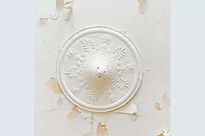 426 Mac Donough Street, New York City, NY 11233 - Photo 38