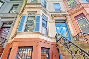 426 MacDonough St, New York City, NY 11233 - Photo 54