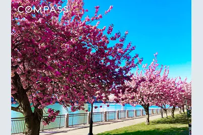 555 Main Street #1002, New York City, NY 10044 - Photo 12