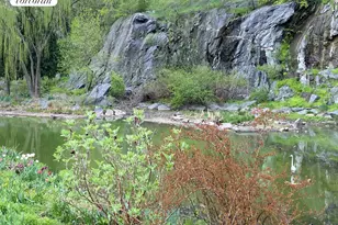 250 Manhattan Ave, New York City, NY 10026 - Photo 12