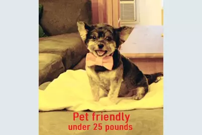 220 E 54th Street #10D, New York City, NY 10022 - Photo 6