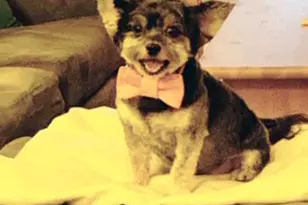 220 E 54th St, New York City, NY 10022 - Photo 6