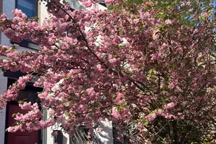 635 St Johns Pl, New York City, NY 11216 - Photo 20