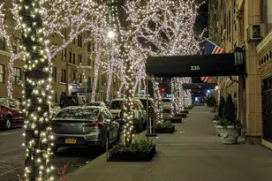 235 E 73rd St, New York City, NY 10021 - Photo 8