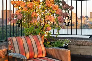 300 Central Prk W, New York City, NY 10024 - Photo 20