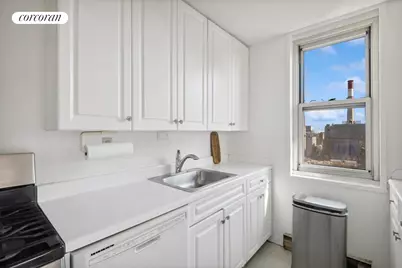 555 Main Street #1710, New York City, NY 10044 - Photo 4