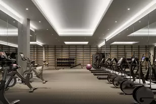 10 Nevins St, New York City, NY 11217 - Photo 10