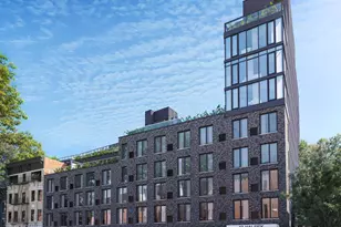 12 Halsey St, New York City, NY 11216 - Photo 16