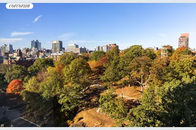 1485 5th Avenue #11B, New York City, NY 10035 - Photo 8