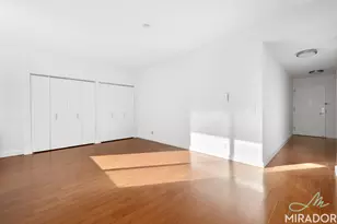 80 DeKalb Ave, New York City, NY 11201 - Photo 4